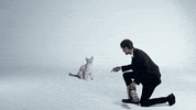 New Music Art GIF by Andrew Bird