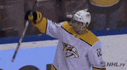 ice hockey sport GIF by NHL