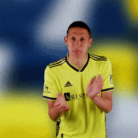 Major League Soccer Football GIF by Nashville SC