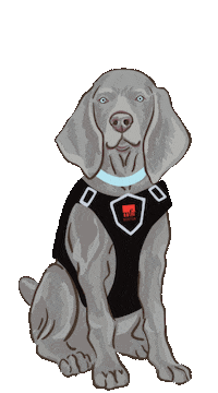 Museum Of Fine Arts Dog Sticker by mfaboston