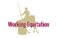 snuitable lusitano working equitation snuitable romy huisman Sticker