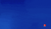 Tsg Hoffenheim Thank You GIF by Bundesliga