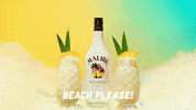 Happy Hour Mood GIF by Malibu Rum