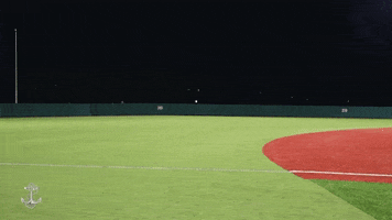 Celebration Go Navy GIF by Navy Athletics