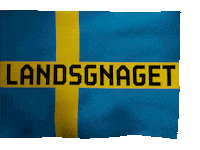 Sweden Flag Sticker by Biblioteksgatan 8