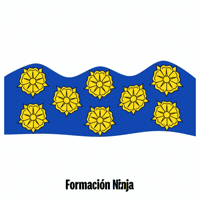 Flag Spain GIF by Formación Ninja
