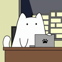Cat Peace GIF by MESA My Emotional Support Animal
