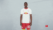 Happy Rb Leipzig GIF by Bundesliga