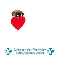 Boxerdog Sticker by Europeanpetpharmacy