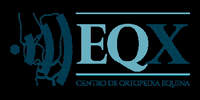 eqxvet horse cavalo eqx eqxvet GIF