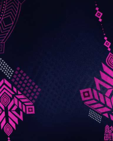 Halla Bol Hello GIF by Rajasthan Royals