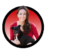 katelynmancinirealestate katelyn mancini Sticker