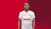Football Celebration GIF by RB Leipzig