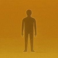 World Weq GIF by WeQuorum