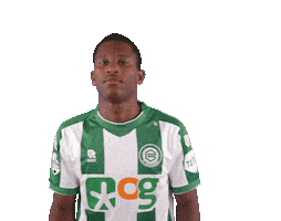 Grunn Sticker by FC Groningen