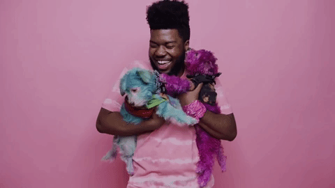 GIF by Pitchfork