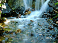 Berater 4A B Consulting Service GIF by FranchiseONE.de