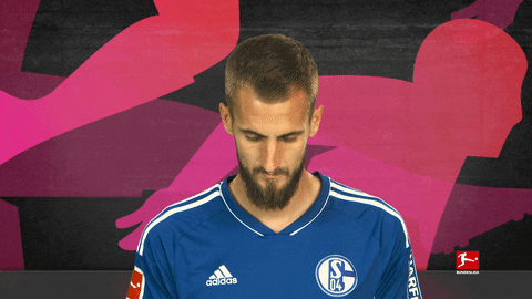 Schalke S04 GIF by Bundesliga