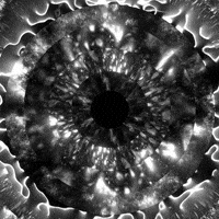 Black And White Loop GIF by xponentialdesign