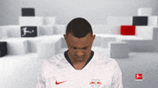 Happy Red Bulls GIF by Bundesliga
