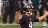 Baltimore Ravens Football GIF by NFL