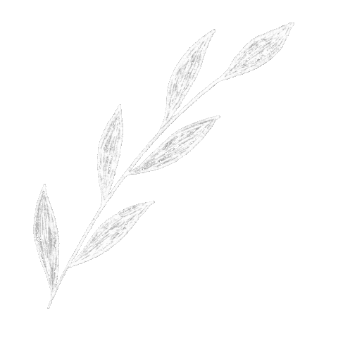 thecolorstrokes giphyupload white leaves white leaves Sticker