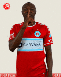 Chicago Fire Mls GIF by Chicago Fire Football Club