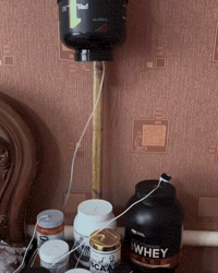 Power Creatine GIF