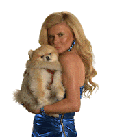Dog Plotting Sticker by Celebrity Apprentice Australia