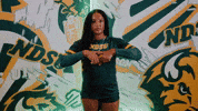 Volleyball Bison GIF by NDSU Athletics