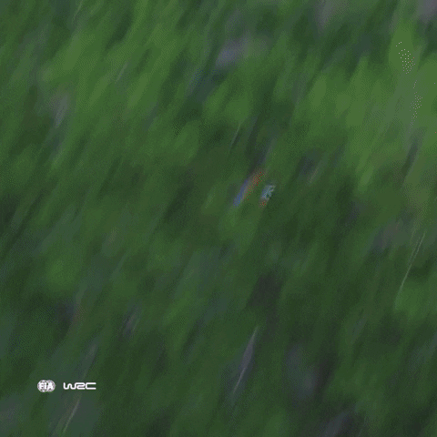 Car Driving GIF by FIA World Rally Championship