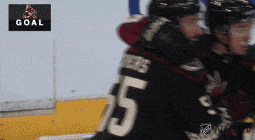 ice hockey hug GIF by NHL