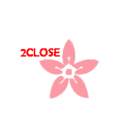 pink 2closefashion Sticker by 2CLOSE