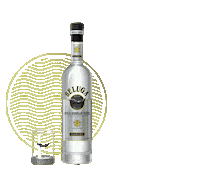 Barmen Алкоголь Sticker by Beluga Vodka