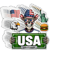 Estados Unidos Soccer Sticker