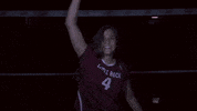 Littlerockvb2020 GIF by Little Rock Athletics