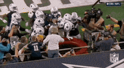 National Football League GIF by NFL