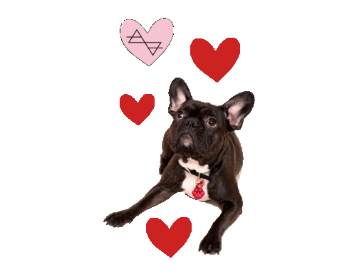 French Bulldog Valentine Sticker by Lifelikes