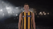 Afl Hawks GIF by Hawthorn Football Club