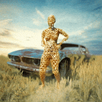 alessiodevecchi dance macarena hillbilly cornfield GIF