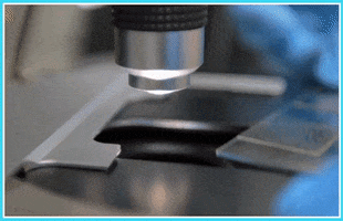 DoYouDiscover inspection dyd doyoudiscover GIF