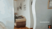 what you like wiz khalifa GIF by Worldstar Hip Hop