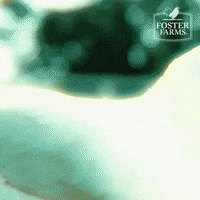 fosterfarms reaction chicken outside chicken dance GIF