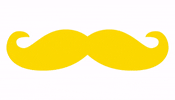 hopsandhandlebars mustache endprostatecancer hops and handlebars end prostate cancer GIF
