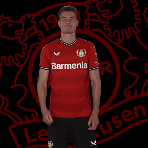I Like Yes GIF by Bayer 04 Leverkusen