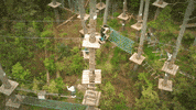 GIF by NZH Travel