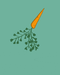 claragilod  GIF