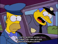 Season 6 GIF by The Simpsons
