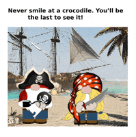 Pirate Gnome GIF