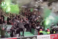 Shamrock Rovers Ireland GIF